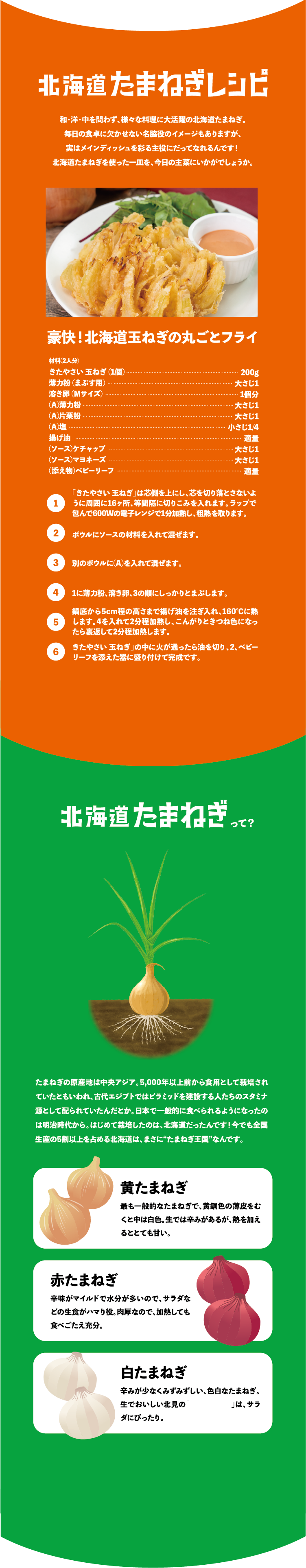 北海道たまねぎレシピ　北海道たまねぎって？