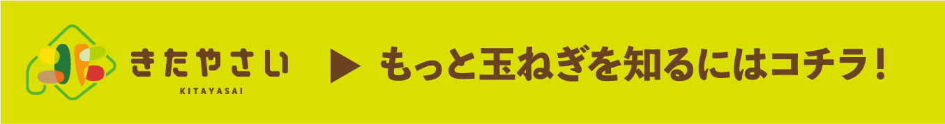 きたやさい